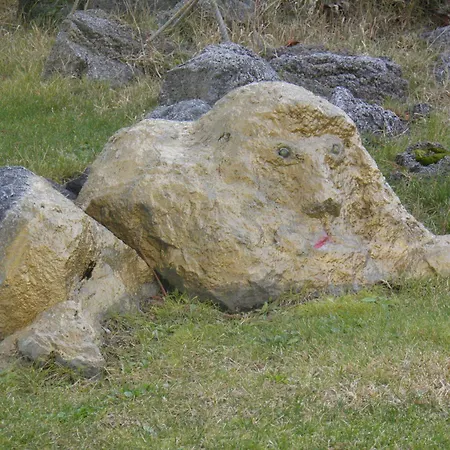 Parco Delle Tre Fontane Nicolosi